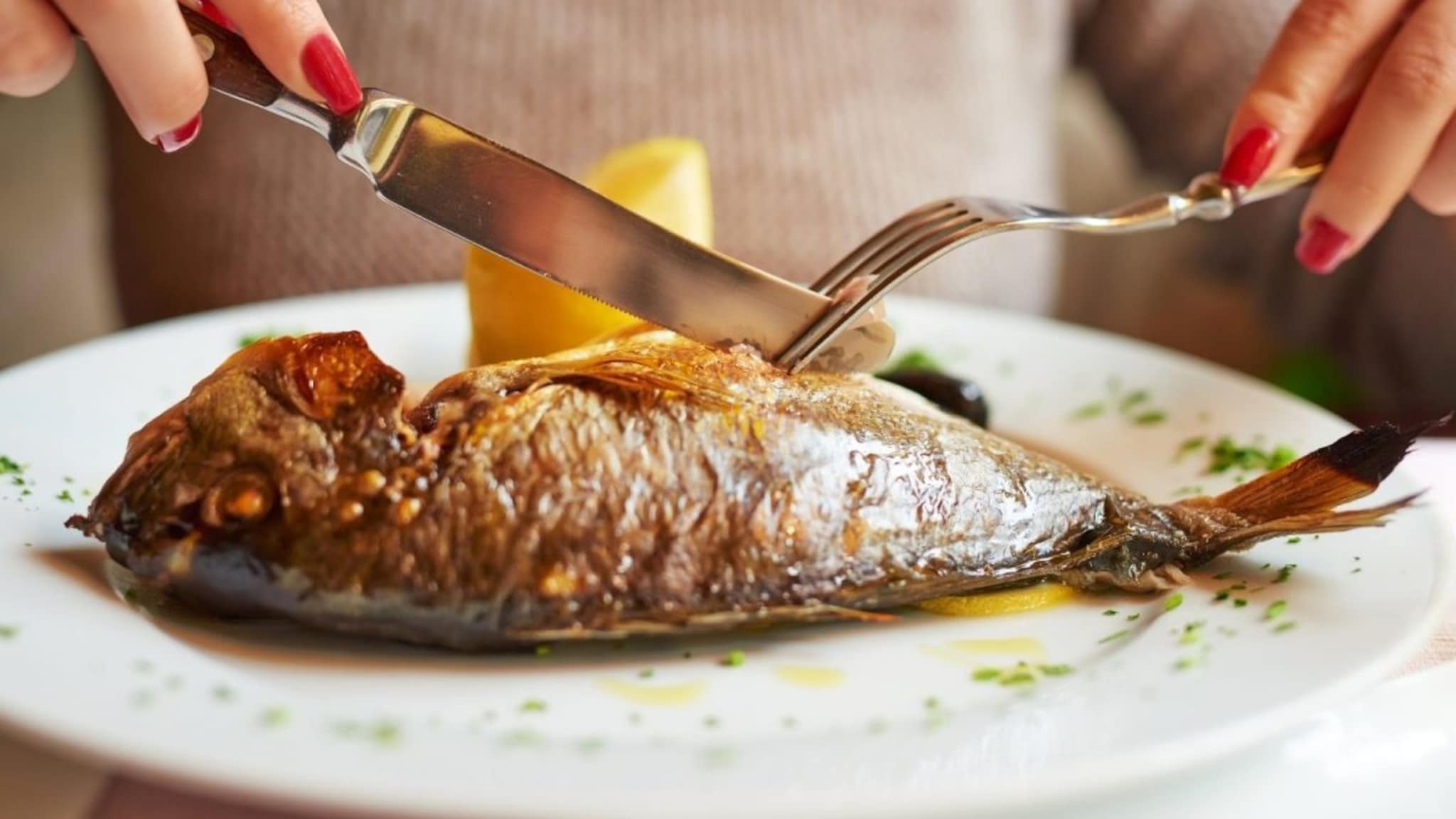 Fish : पहिल्यांदाच मासा खाणार आहात? शेफने सांगितलं सुरुवात करण्यासाठी बेस्ट फिश कोणता