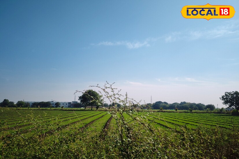 बीड जिल्ह्यात अंशतः ढगाळ. वातावरण राहून तापमानात घट होऊ शकते परिणामी थंडीमध्ये वाढ होईल. त्यामुळे कमाल तापमान 27.0 अंश सेल्सिअस तर किमान तापमान 15.0 अंश सेल्सिअस इतके राहील. सकाळ आणि संध्याकाळच्या वेळेला थंडी वाढण्याची दाट शक्यता आहे. तसेच हिंगोली आणि नांदेड या जिल्ह्यांत सामान्यतः आकाश निरभ्र असणार आहे. याबरोबरच गारठा वाढण्याची शक्यता हवामान विभागाने व्यक्त केली आहे.