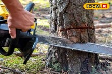 Chhatrapati Sambhajinagar News : पर्यावरणप्रेमींना धक्का! पडेगाव रस्ता विस्तारामुळे हजारो झाडांची हानी होण्याची भीती