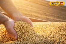 Krushi Market: सोयाबीनच्या दरात चढ-उतार, कांदा आणि मक्याला आज काय मिळाला भाव? Video