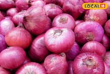 Krushi Market: कांद्याची आवक वाढली, पण दर घसरलेलेच, सोयाबीन आणि मक्याला काय मिळाला भाव?