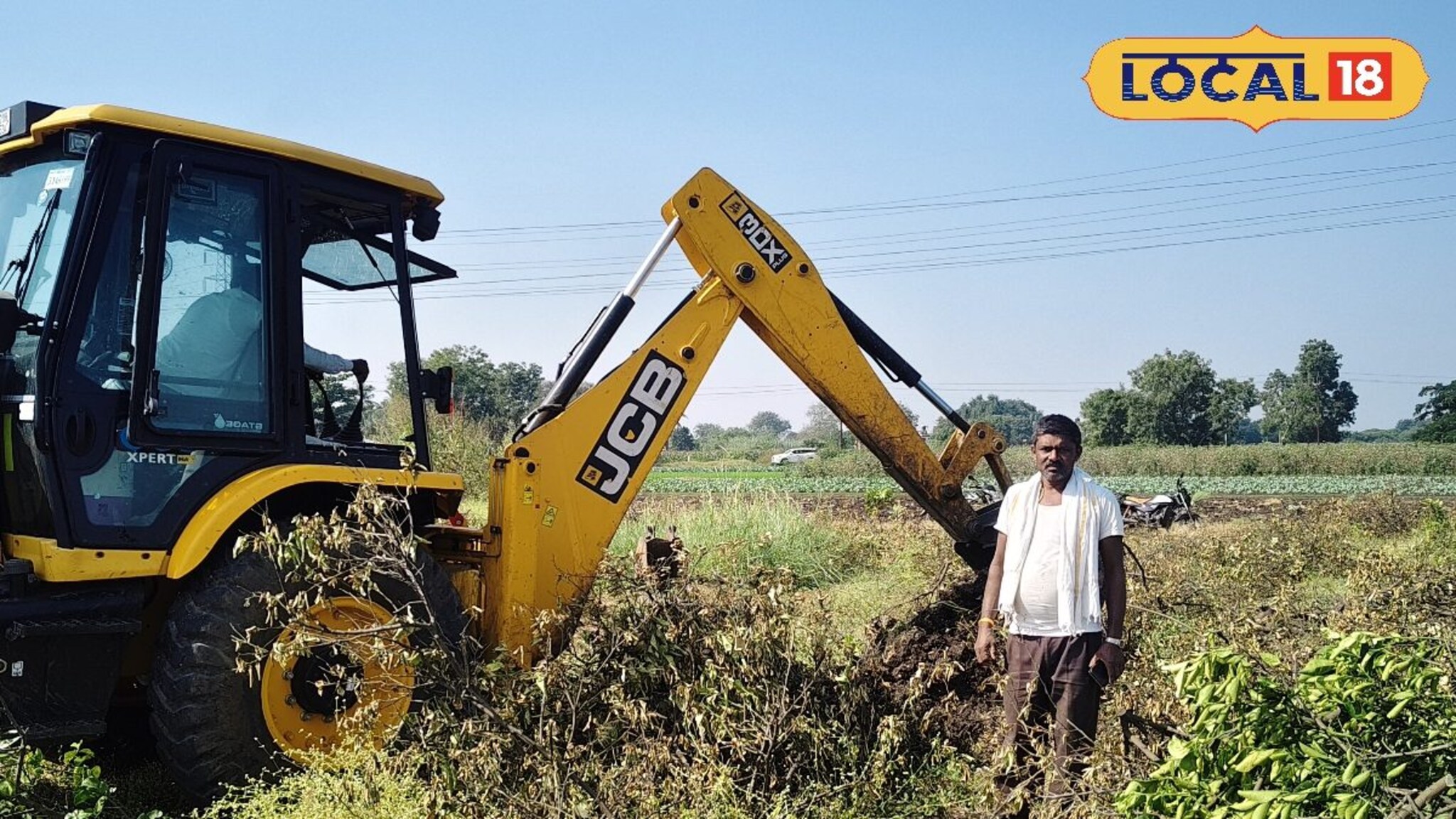 Mosambi Farming : मोसंबीला भाव नाही, 350 झाडांची बाग शेतकऱ्याने जेसीबीने काढली, 3 लाखांचं नुकसान