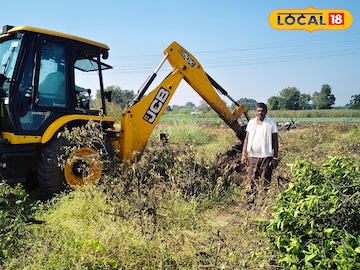 मोसंबीला