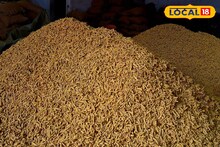 शेतकऱ्यांसाठी गुड न्यूज, हळदीच्या दरात मोठी तेजी, हे आहे भाव वाढीचे कारण Video