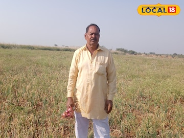 कांद्याचा