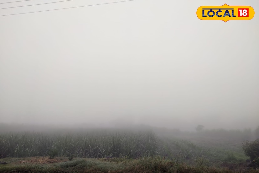 आज गुरुवारी रोजी पुणे येथील थंडीची लाट ओसरली आहे. कमाल तापमान 28.3 अंश सेल्सिअस तर किमान तापमान 11.5 अंश सेल्सिअस इतके राहील. पुणे घाटमाथा परिसरात देखील गारठा कायम राहण्याचा अंदाज आहे. 