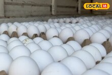 Egg Prices : ग्राहकांच्या खिश्याला कात्री, ऐन थंडीत अंड्याच्या दरात वाढ, कारण काय?