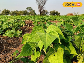 शेतकऱ्याचा