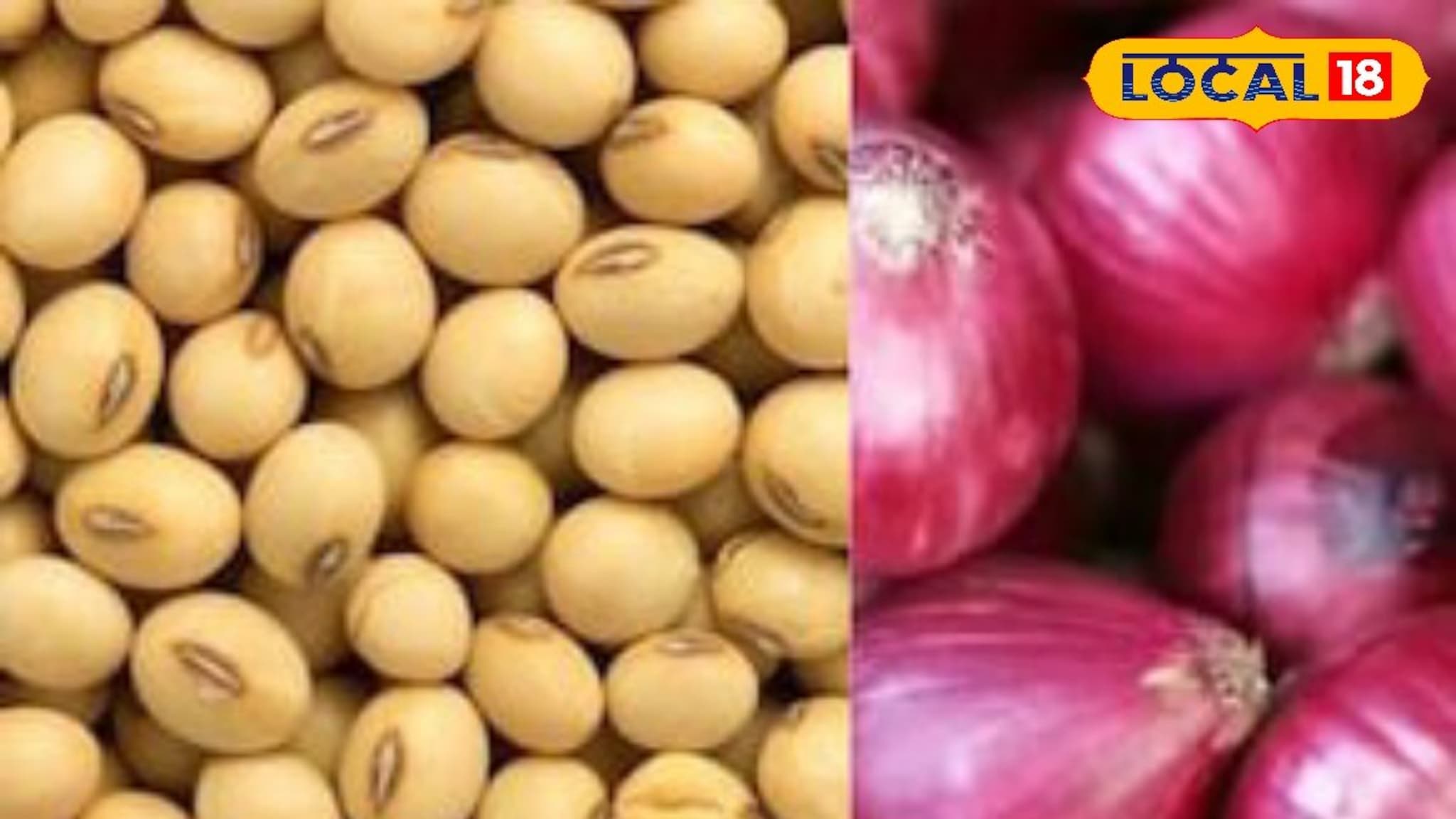 कांदा आणि सोयाबीनच्या भावात पुन्हा चढ-उतार, मक्याला किती मिळाला आज भाव?