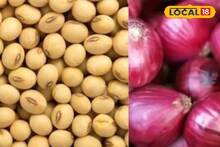 कांदा आणि सोयाबीनच्या भावात पुन्हा चढ-उतार, मक्याला किती मिळाला आज भाव? इथं चेक करा
