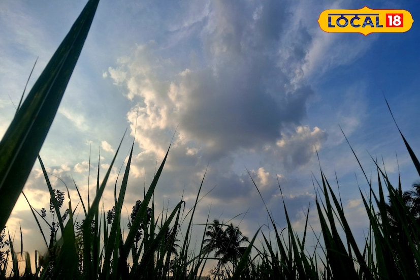 पुणे जिल्ह्यात थंडीचा कडाका कमी होवून तापमानात वाढ जाणवत आहे. आज पुण्यातील कमाल तापमान 29 अंश सेल्सिअस तर किमान तापमान 14 अंश सेल्सिअस इतके राहील. पुढील चार दिवस किमान तापमान 12 ते 15 अंश दरम्यान राहण्याची शक्यता हवामान विभागाने वर्तवली आहे.