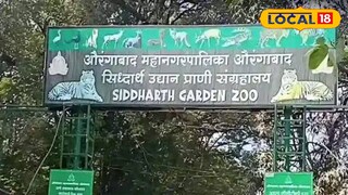 ‎टवाळखोरांच्या उपद्रवाला आळा; सिद्धार्थ उद्यान आता संध्याकाळी 6 वाजताच बंद<br>‎<