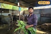 हरायचं नाही! शेतकऱ्यानं म्हशी पालनातून काढला श्रीमंतीचा मार्ग, महिन्याला इतकी कम