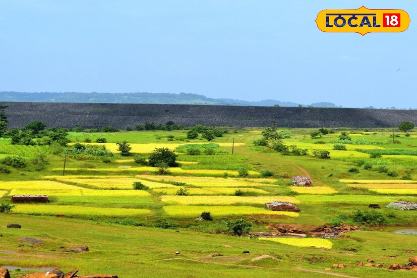 पालघर जिल्ह्यात आजही चांगलीच थंडी जाणवेल. किमान तापमान 16–18°C पर्यंत खाली जाण्याची शक्यता असून सकाळी हलका धुरकट गारवा राहू शकतो. दिवसा तापमान 28–30°C पर्यंत जाईल, पण दुपारनंतर पुन्हा हवा थंड होते. वातावरण स्वच्छ, पावसाची शक्यता नाही.