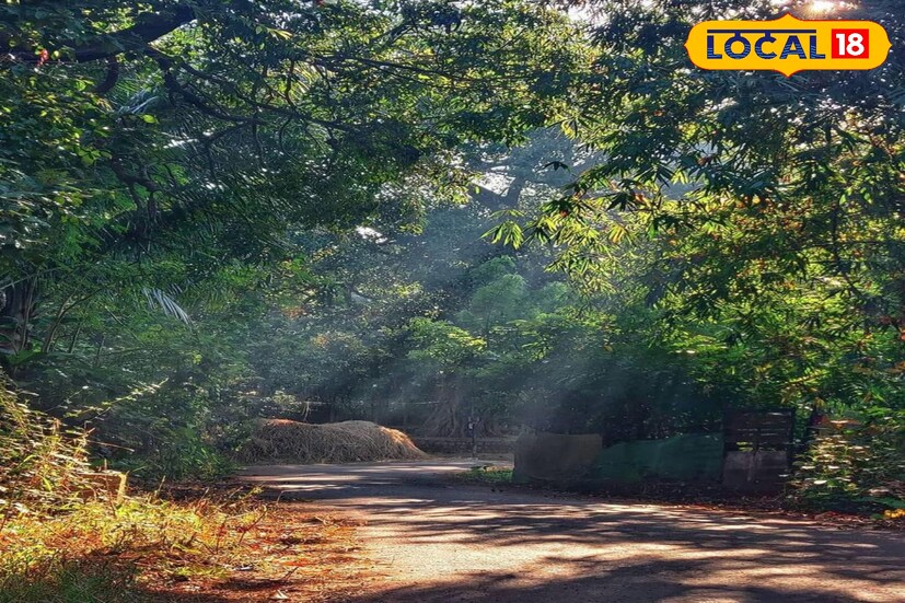 कोकणात थंडीचा प्रभाव वाढत चालला आहे. रायगडच्या काही भागात तापमान 16–18°C, तर रत्नागिरी आणि सिंधुदुर्गमध्ये 17–19°C च्या दरम्यान राहील. रात्रीची थंडी अधिक तीव्र जाणवेल. दिवसा तापमान 30–32°C असल्याने दुपार उबदार वाटेल, पण संध्याकाळी पुन्हा गारवा वाढतो. हवा स्वच्छ, कोरडी आणि पूर्णपणे स्थिर.