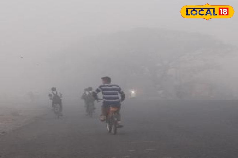 मराठवाड्यातील तापमानात सततचे उतार-चढाव सुरू असून काही ठिकाणी थंडी कमी जाणवेल तर काही भागांत गारठा वाढण्याची चिन्हे आहेत. शनिवारी कोणत्याही जिल्ह्याला विशेष इशारा नसला तरी वातावरणातील अनियमित बदलांमुळे सर्दी, ताप, घसा बसणे यासारख्या तक्रारी वाढू शकतात. त्यामुळे नागरिकांनी आरोग्याची काळजी घ्यावी. 