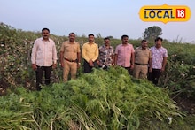 तब्बल 1,00,00,000 रुपयांचा गांजा पकडला, पोलीस त्याच पुढे काय करतात? Video