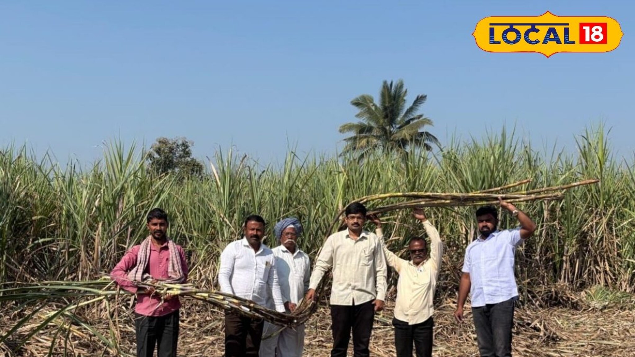 Success Story : सांगलीच्या शेतकऱ्याची कमाल, 30 गुंठ्यात 90 टन घेतलं ऊस उत्पादन, अख्खं गाव पाहतच राहिलं!