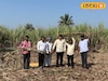 शेतकऱ्याची कमाल, 30 गुंठ्यात 90 टन घेतलं ऊस उत्पादन, अख्खं गाव पाहतच राहिलं!