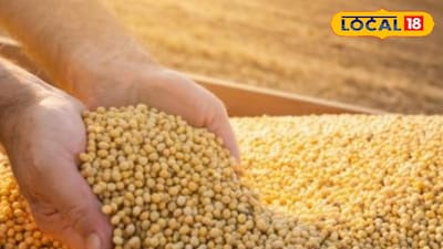 Maharashtra Krushi Market updates 