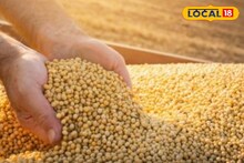 सोयाबीनच्या दरात पुन्हा सुधारणा, कांद्याला आणि मक्याला काय मिळाला आज भाव? Video