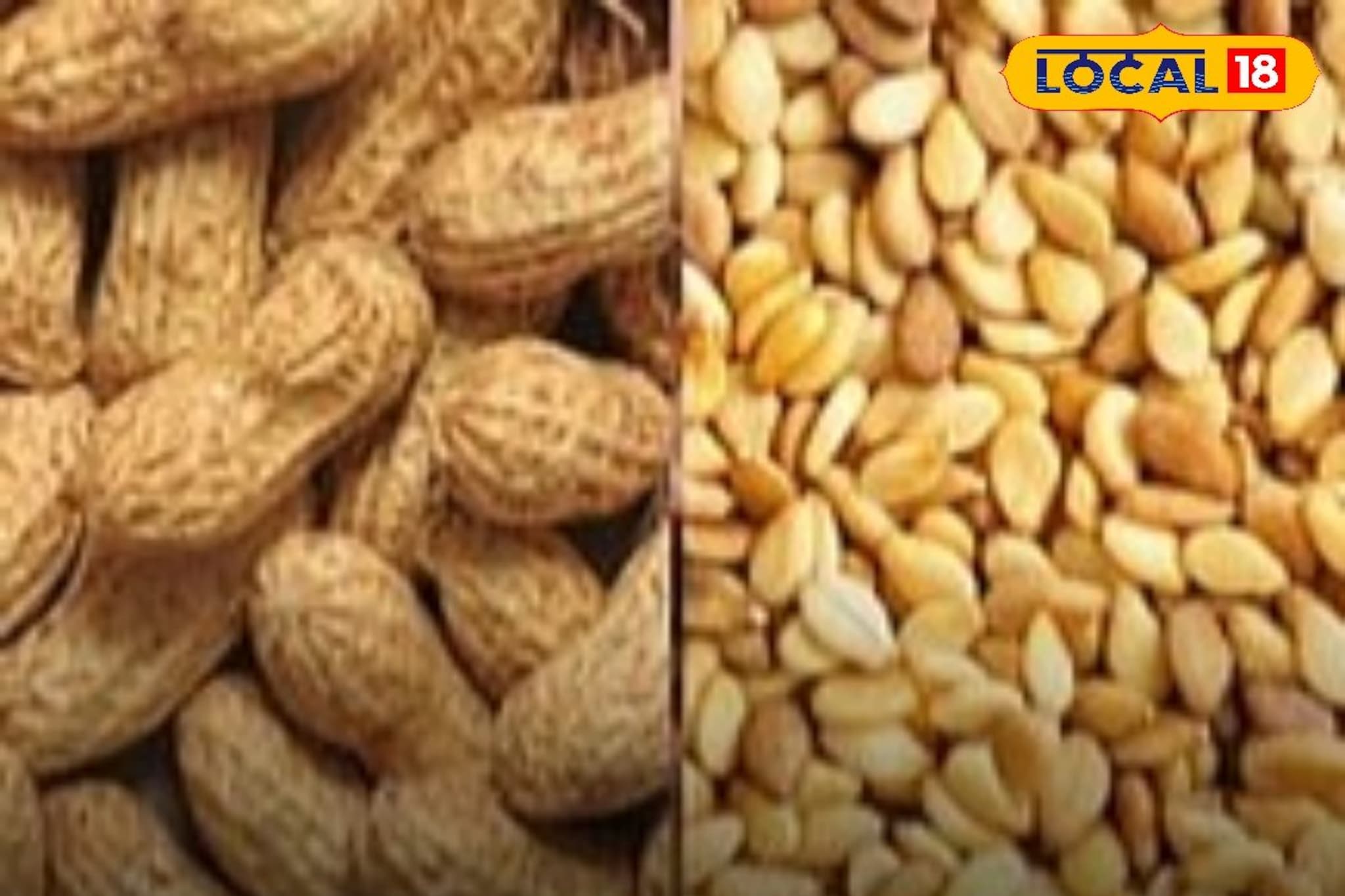 उन्हाळी भुईमूग आणि तीळ पिकांचे बियाणे 13 जिल्ह्यांत मोफत मिळणार, इथं करा नोंदणी? उन्हाळी भुईमूग आणि तीळ पिकांचे बियाणे 13 जिल्ह्यांत मोफत मिळणार, इथं करा नोंदणी?