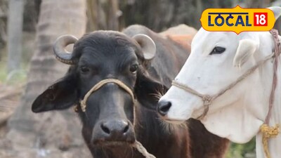 सरकारी योजना