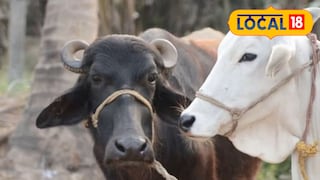 सरकारी योजना सरकारी योजना