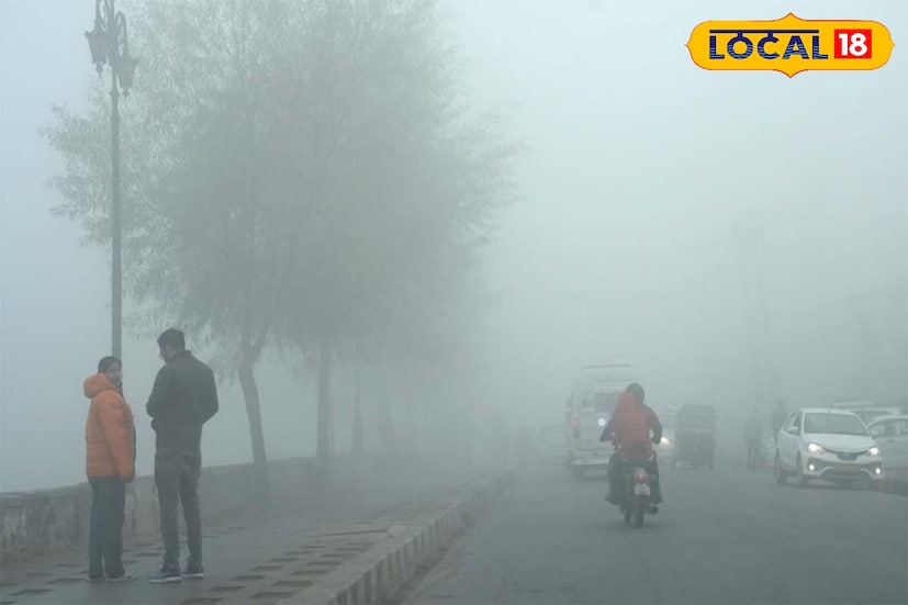 शहापूरमध्ये कमाल तापमान 31°C पर्यंत आणि किमान तापमान 16°C पर्यंत असू शकते. हवामान कोरडे व निरभ्र राहील. मुरबाडमधील हवामान साधारणपणे उबदार व अंशतः ढगाळ राहण्याची शक्यता आहे, ज्यात कमाल तापमान साधारणपणे 27°C ते 29°C च्या दरम्यान आणि किमान तापमान 16°C ते 18°C च्या दरम्यान असू शकते,ज्यामुळे दिवसा उबदार आणि रात्री थंड हवामान असेल.