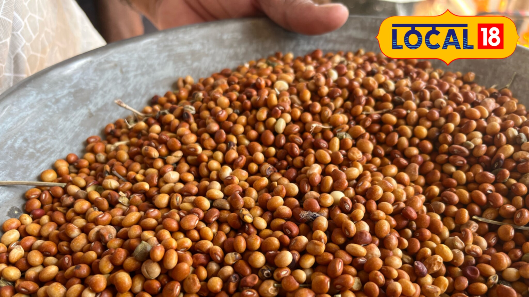 नवीन तूर बाजारात दाखल, क्विंटलला मिळतोय तब्बल एवढा दर, जालना मार्केटमधून महत्त्वाचं अपडेट समोर