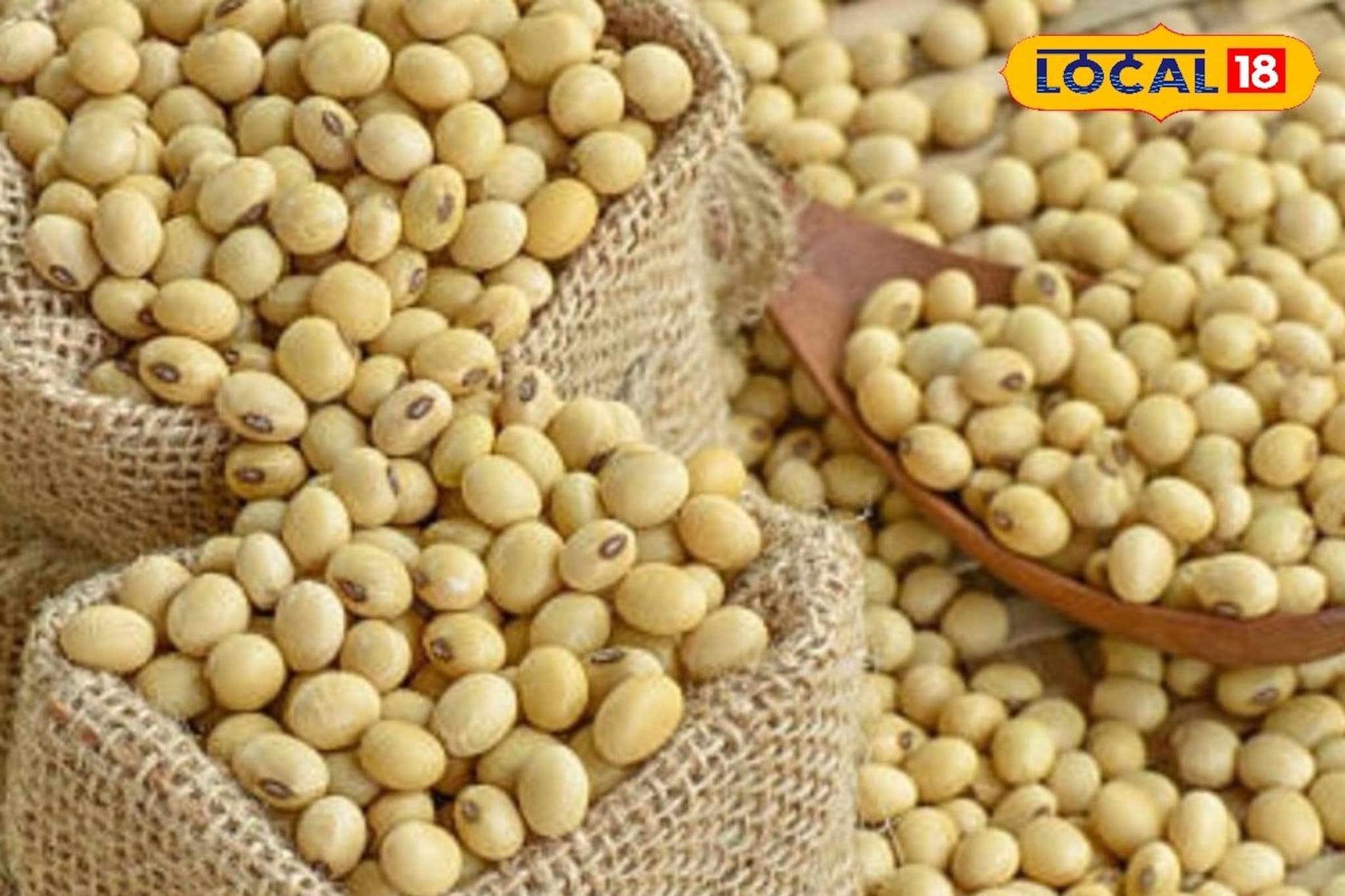 सोयाबीन बाजारात पुन्हा उलथापालथ, मका आणि कांद्याला किती मिळाला दर? इथं चेक करा सोयाबीन बाजारात पुन्हा उलथापालथ, मका आणि कांद्याला किती मिळाला दर? इथं चेक करा