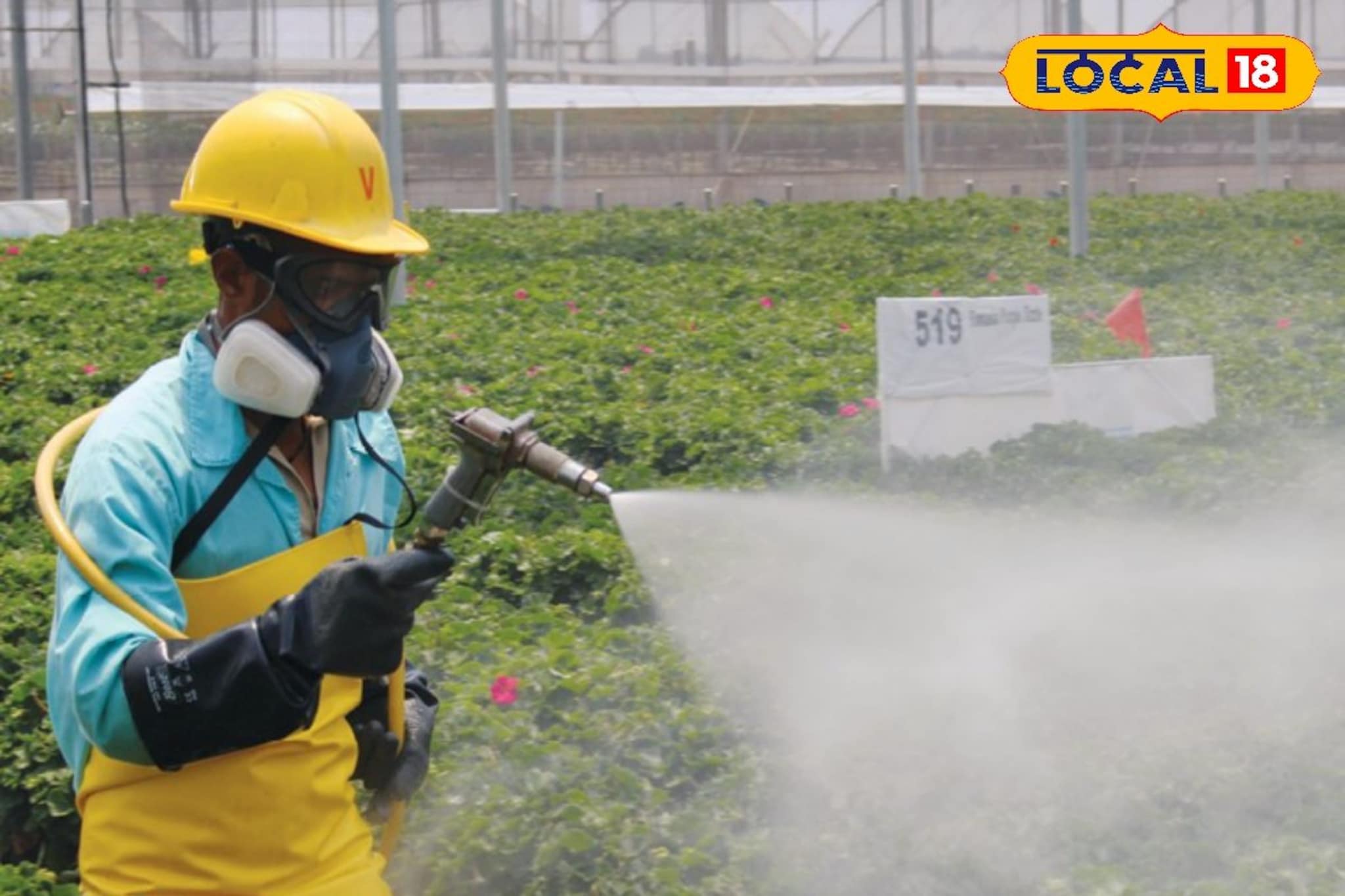 सेंद्रिय शेतीत रोगांचा प्रदुर्भाव? नैसर्गिक उपायांनी करा नियंत्रण,टिप्सचा Video सेंद्रिय शेतीत रोगांचा प्रदुर्भाव? नैसर्गिक उपायांनी करा नियंत्रण,टिप्सचा Video