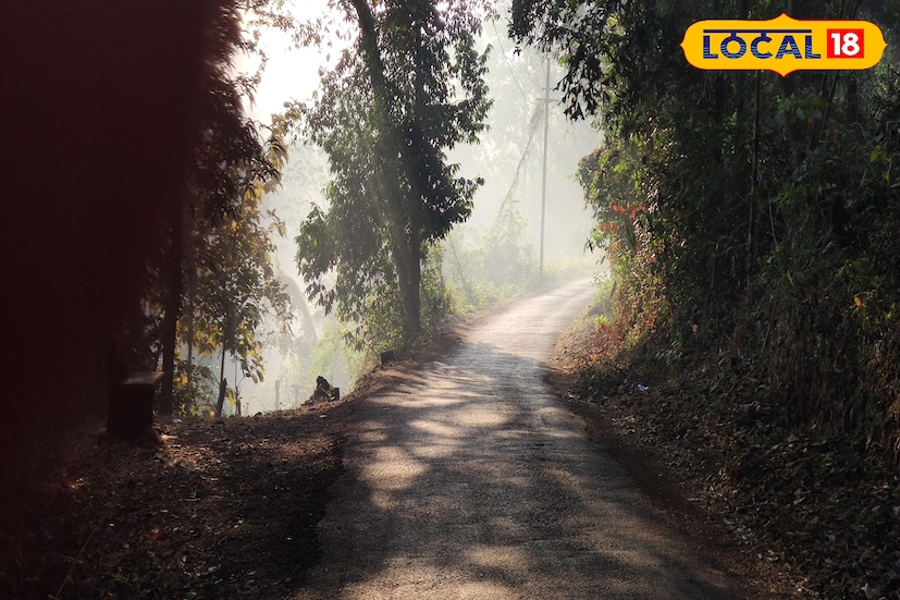 अहिल्यानगर आणि छत्रपती संभाजीनगर येथे मागील दिवसांच्या तुलनेत आज हवामान सौम्य राहणार आहे. शुक्रवारी रात्रीपेक्षा आज तापमान 1–2 अंशांनी जास्त नोंदवले जाऊ शकते. नगरमध्ये किमान तापमान 10–12°C तर संभाजीनगरमध्ये 11–13°C च्या आसपास असेल. दिवसा तापमान 28–30°C पर्यंत वाढेल आणि हवेत कोरडेपणा टिकून राहील. थंड वाऱ्यांचा प्रभाव थोड्या प्रमाणात जाणवेल परंतु तीव्र थंडीची परिस्थिती नाही.