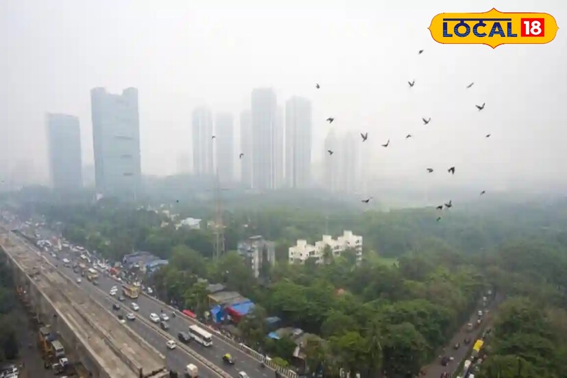 डोंबिवलीत सकाळी हवामान स्वच्छ आणि आल्हाददायक राहील, दिवसा भरपूर सूर्यप्रकाश असल्याने साधारणपणे कमाल तापमान 31°C पर्यंत, तर किमान तापमान 20 ते 22°C च्या दरम्यान राहण्याचा अंदाज आहे. ज्यामुळे सकाळ आणि रात्री गारठा जाणवेल. तर दिवसा हवामान स्वच्छ व उबदार असेल.