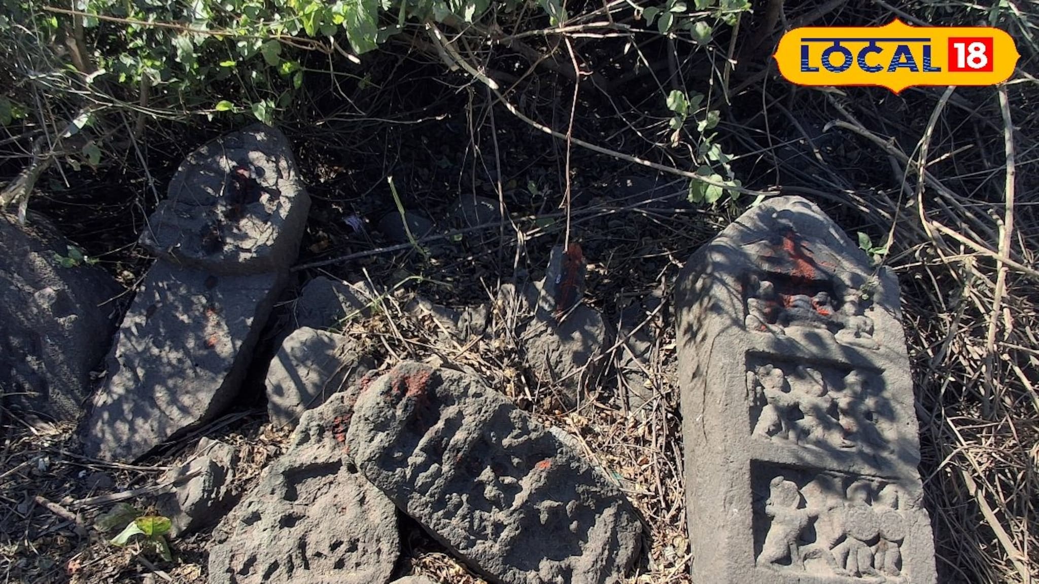 या गावात सापडला 800 वर्षांपूर्वीच्या इतिहासाचा 'साक्षीदार',गावकऱ्यांची एकच गर्दी