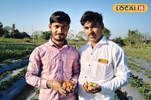 Success Story : मराठवाड्यातील 2 भावांची कमाल, 10 गुंठ्यात केली स्ट्रॉबेरी शेती, 3 महिन्यांत 2 लाख कमाई