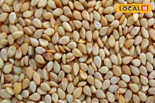 Krushi Market Rate: बाजारात तिळाचा भाव 15,000च्या पार, स्वस्त काय?