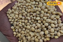 Soyabean Rate : सोयाबीनच्या दरात पुन्हा उलथापालथ, मंगळवारी कांदा आणि मक्याला किती मिळाला भाव? इथं चेक करा