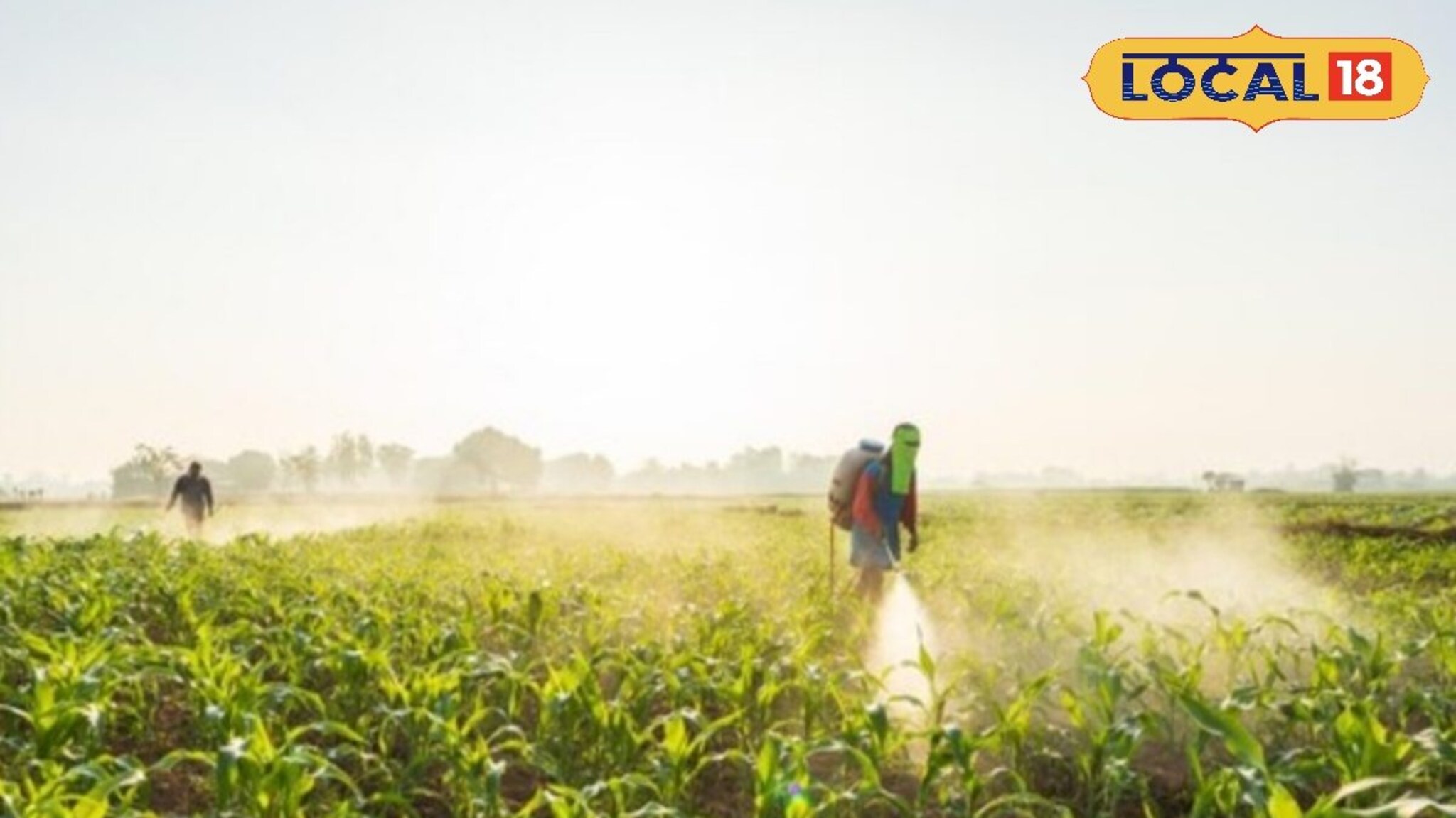 Agriculture News : शेतकऱ्यांनो, आता शेतात ‘या’ गोष्टींची काळजी घ्या, दुप्पटीने वाढेल उत्पन्न