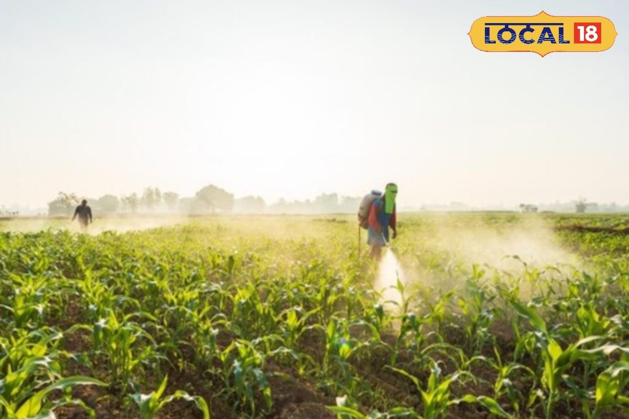 शेतकऱ्यांनो, आता शेतात ‘या’ गोष्टींची काळजी घ्या, दुप्पटीने वाढेल उत्पन्न शेतकऱ्यांनो, आता शेतात ‘या’ गोष्टींची काळजी घ्या, दुप्पटीने वाढेल उत्पन्न