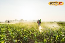 Agriculture News : शेतकऱ्यांनो, आता शेतात ‘या’ गोष्टींची काळजी घ्या, दुप्पटीने वाढेल उत्पन्न