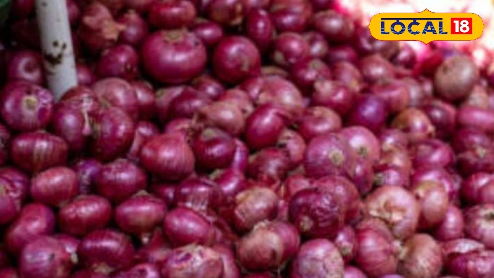 कांद्याचे दर पुन्हा घसरले, सोयाबीन आणि मक्याला किती मिळाला भाव? चेक करा एका क्लिकवर