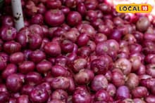 कांद्याचे दर पुन्हा घसरले, सोयाबीन आणि मक्याला किती मिळाला भाव? चेक करा एका क्लिकवर