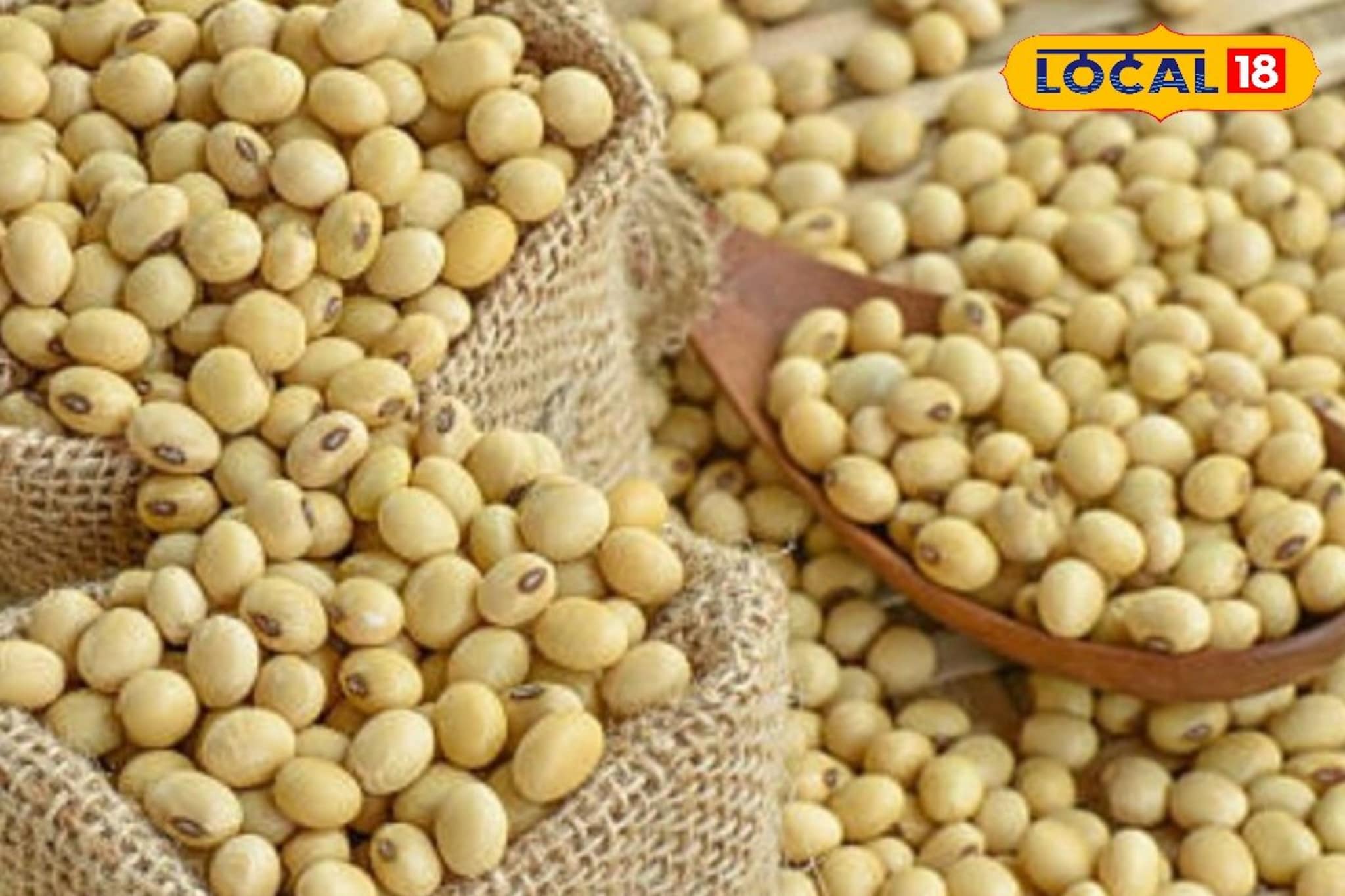 सोयाबीनच्या दरात पुन्हा घसरण; कांदा आणि मक्याला किती मिळाला दर? इथं चेक करा सोयाबीनच्या दरात पुन्हा घसरण; कांदा आणि मक्याला किती मिळाला दर? इथं चेक करा