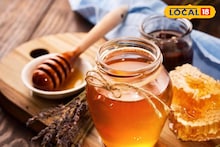 Health Tips : हिवाळ्यात खा रोज 1 चमचा मध, हे आजार जवळ पण नाही येणार, महत्त्वाच्या टिप्सचा Video