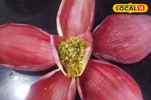 Kelful Recipe : हिवाळ्यात शरिराला आरोग्यदायी, घरीच बनवा केळफुलाची भाजी, रेसिपीचा संपूर्ण Video