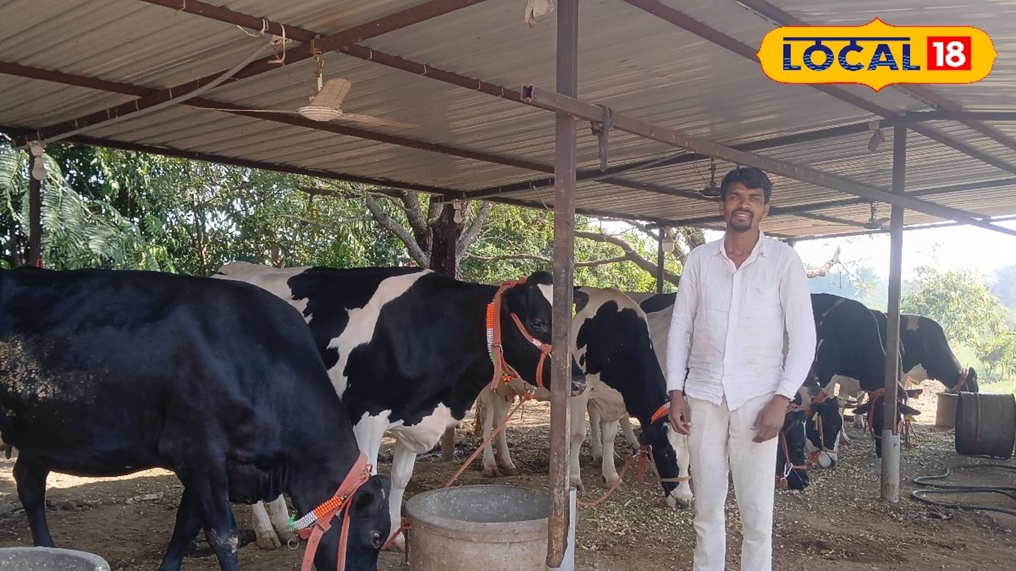 Success Story : शेतीतून मिळतं नव्हतं उत्पन्न, शेतकऱ्याने सुरू केला दूध व्यवसाय, वर्षाला 6 लाखांचा नफा