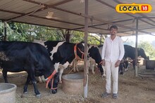 Success Story : शेतीतून मिळतं नव्हतं उत्पन्न, शेतकऱ्याने सुरू केला दूध व्यवसाय, वर्षाला 6 लाखांचा नफा