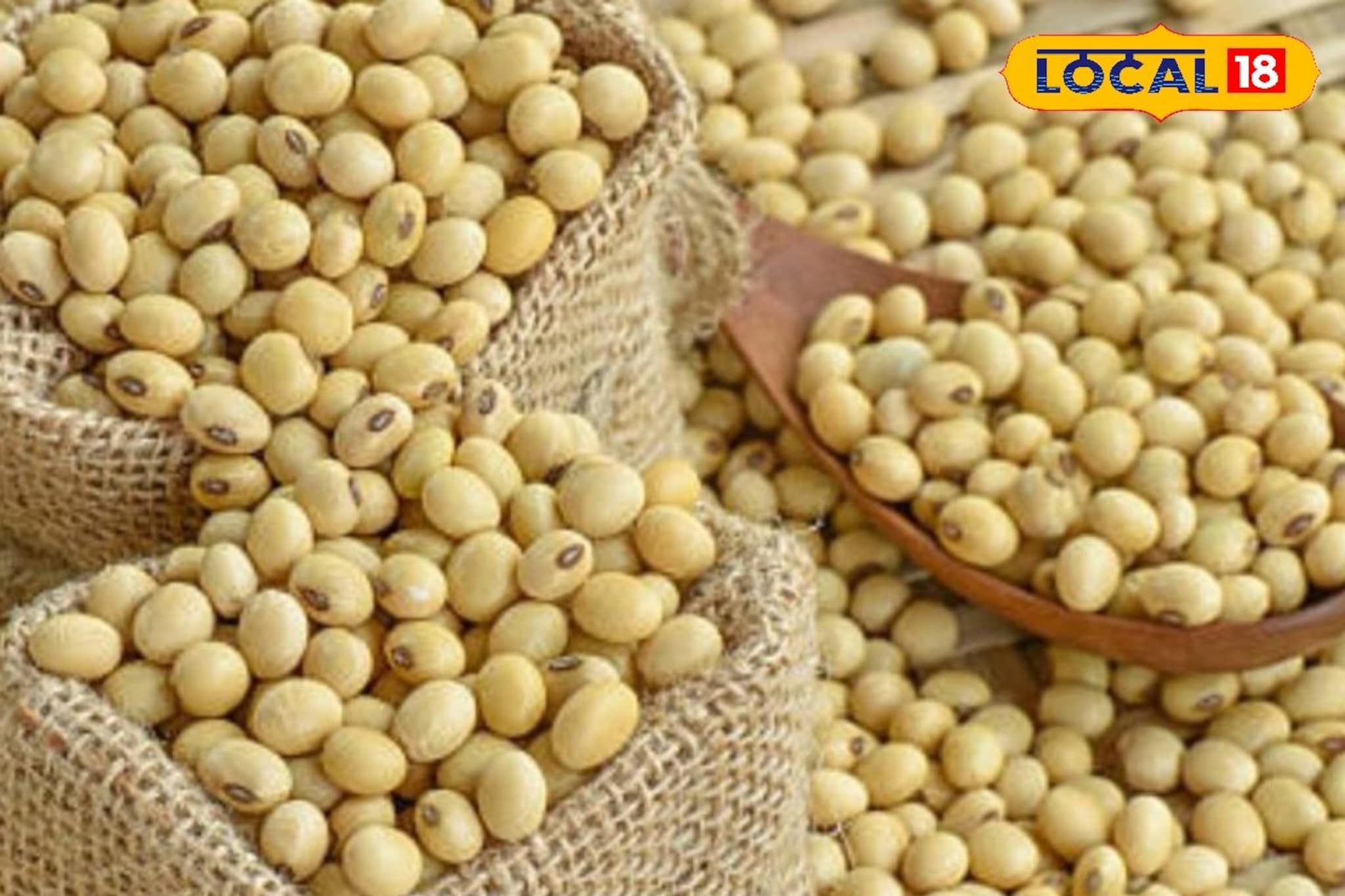 शेतकऱ्यांसाठी गुड न्यूज, मका आणि कांद्याच्या दरात वाढ, सोयाबीनला काय मिळाला भाव?