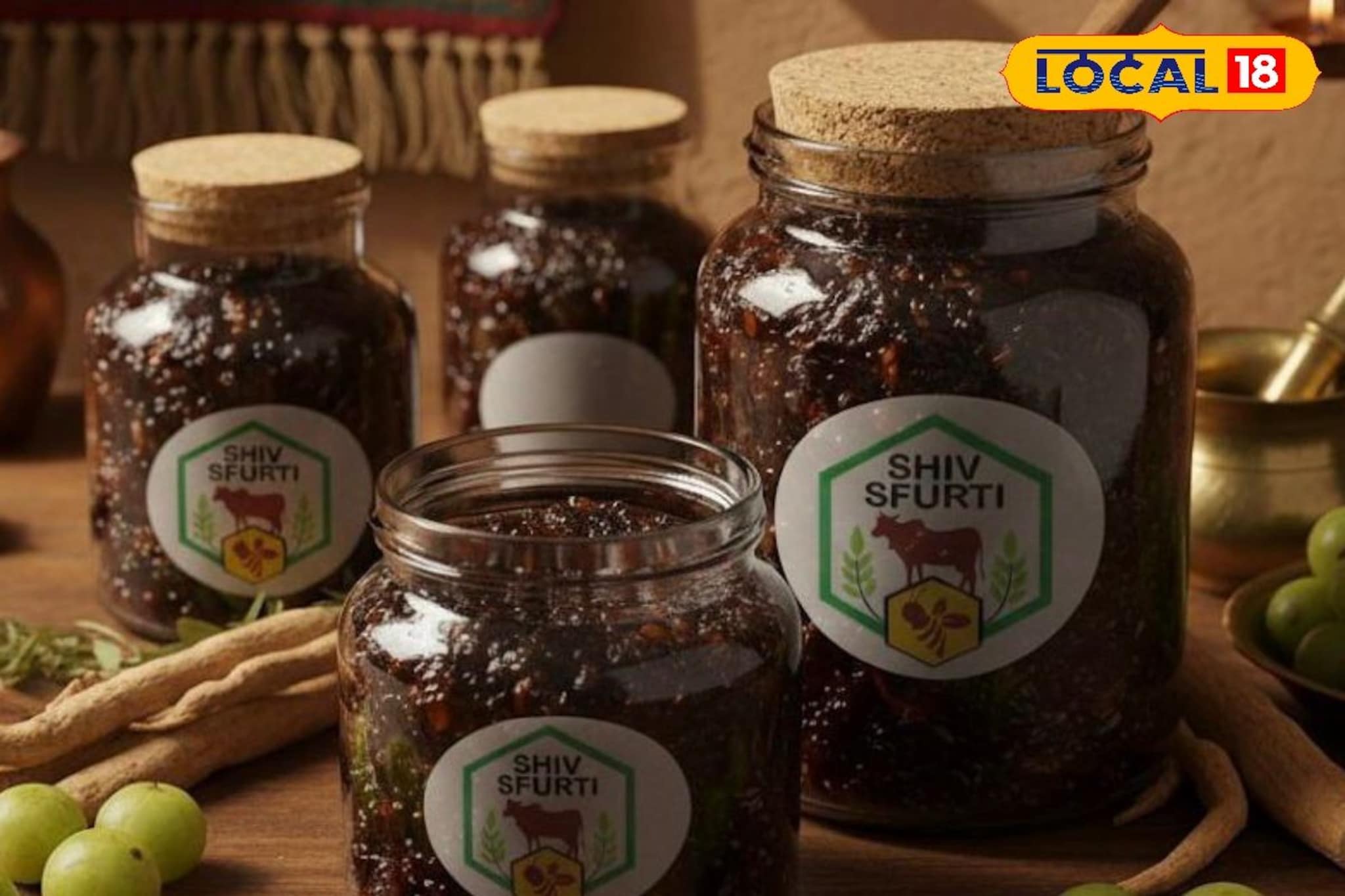 600 महिलांना मिळाला रोजगार, मेळघाटमध्ये कसा बनवला जातोय च्यवनप्राश? Video